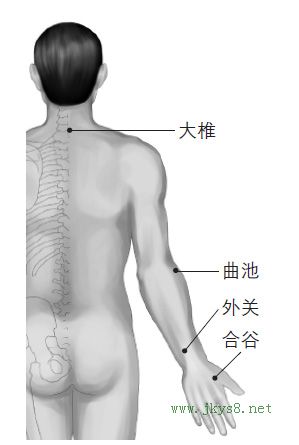 大椎、曲池、合谷、外關(guān)