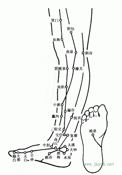 下肢內(nèi)側(cè)穴位