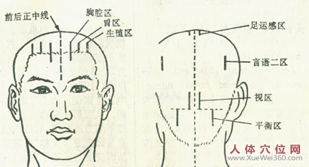 中風(fēng)的推拿治療技術(shù)：頭部