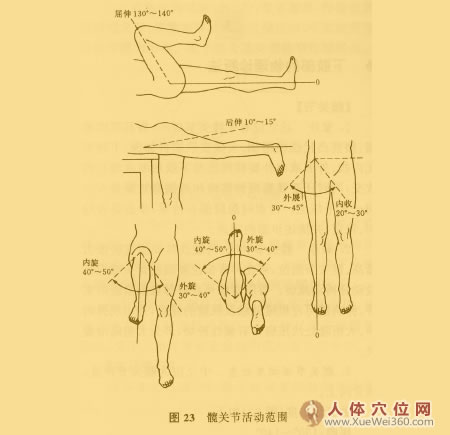 關(guān)節(jié)活動度