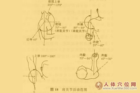 上肢部的物理診斷法