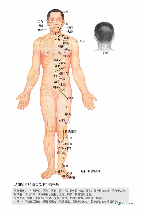 四白穴：胃經(jīng)(圖文)