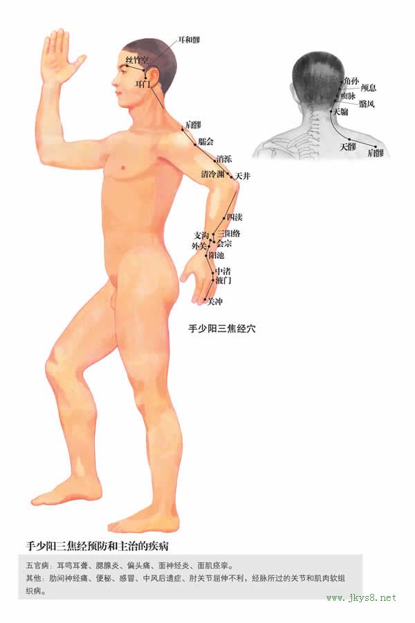 手少陽三焦經穴位圖