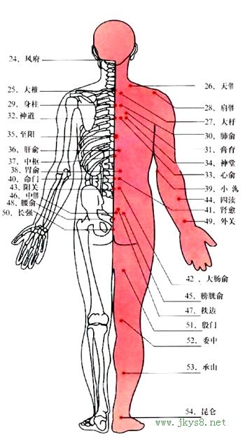 人體特效穴位（圖）