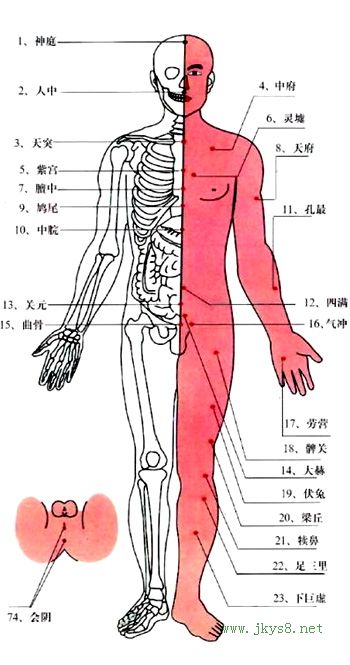 人體特效穴位（圖）