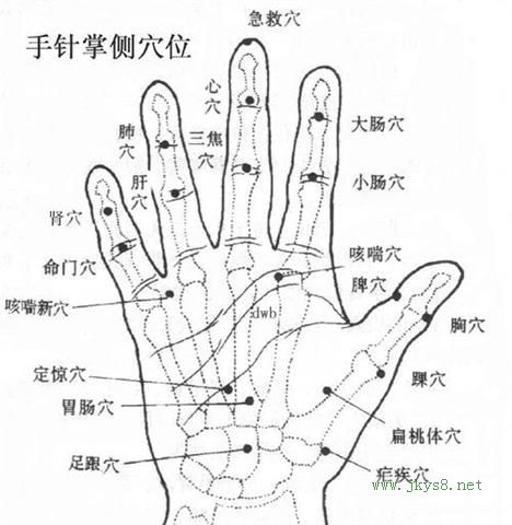 手針掌側(cè)穴位