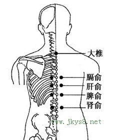 肝俞穴