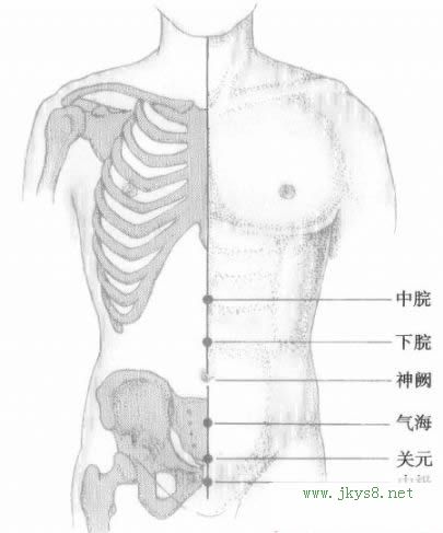 腹部經(jīng)絡(luò)穴位圖