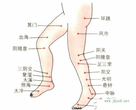 下肢穴位圖側面