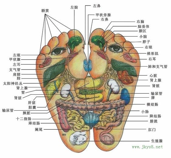 足外部反射區(qū)圖示