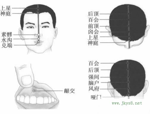 督脈穴位圖