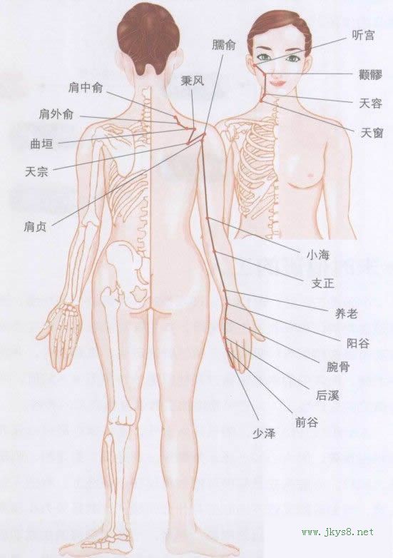 手少陽小腸經(jīng)