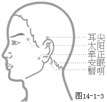 耳尖穴位位置圖-人體穴位查詢(xún)