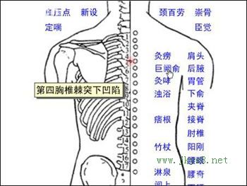 巨闕俞穴位位置圖-人體穴位查詢