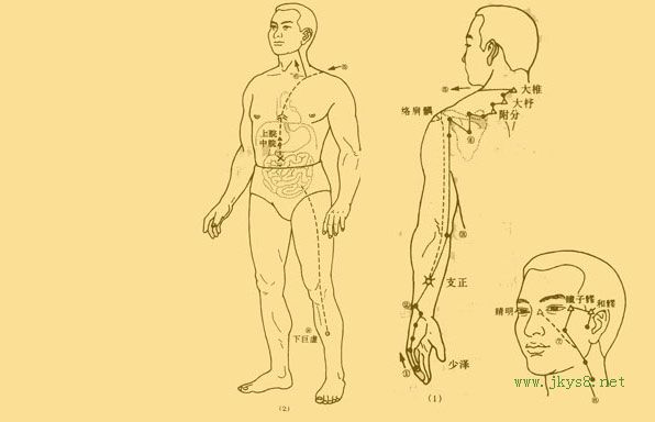 人體穴位圖詳解