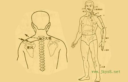 人體穴位圖詳解