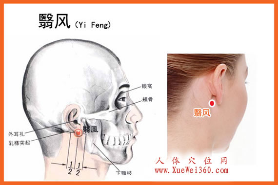 翳風(fēng)穴的準(zhǔn)確位置圖