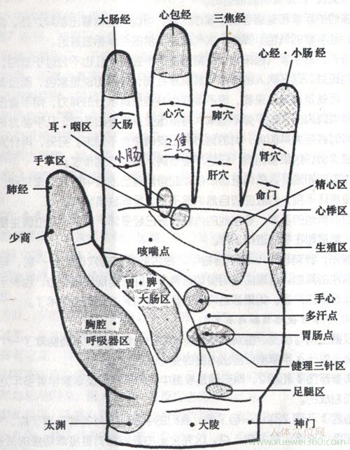 手掌穴位圖解大全