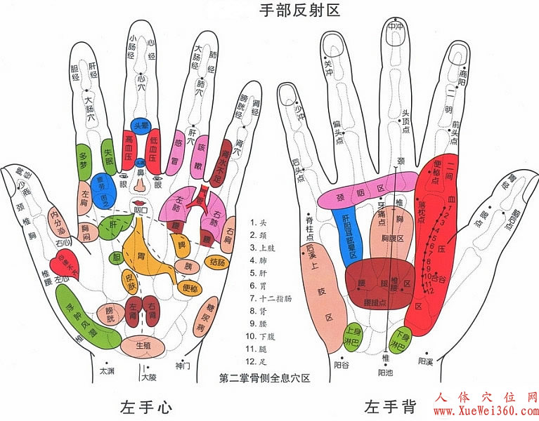 手部反射區(qū)穴位圖解大全【雙手高清圖下載】