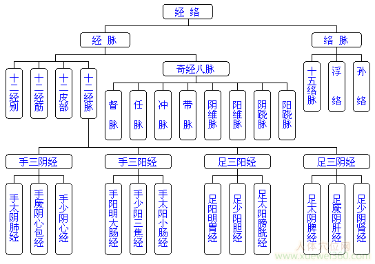 人體經(jīng)絡(luò)圖大全