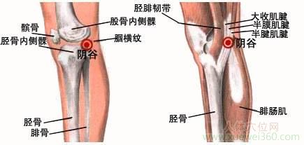 陰谷穴的準(zhǔn)確位置圖