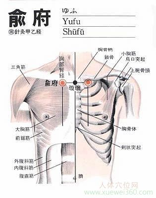 俞府穴