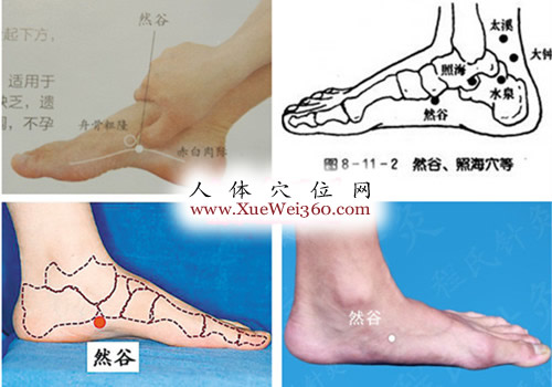 然谷穴位位置圖（高清圖組）