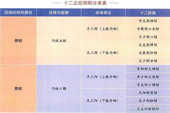 十二正經(jīng)陰陽分類表