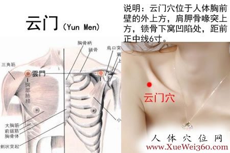 云門(mén)穴的準(zhǔn)確位置圖