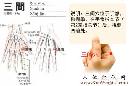 三間穴位位置圖