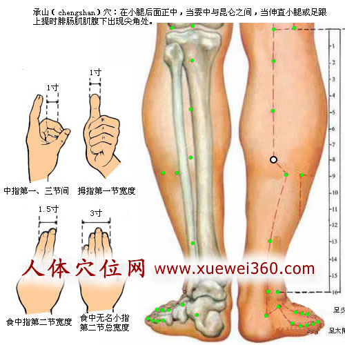 承山穴