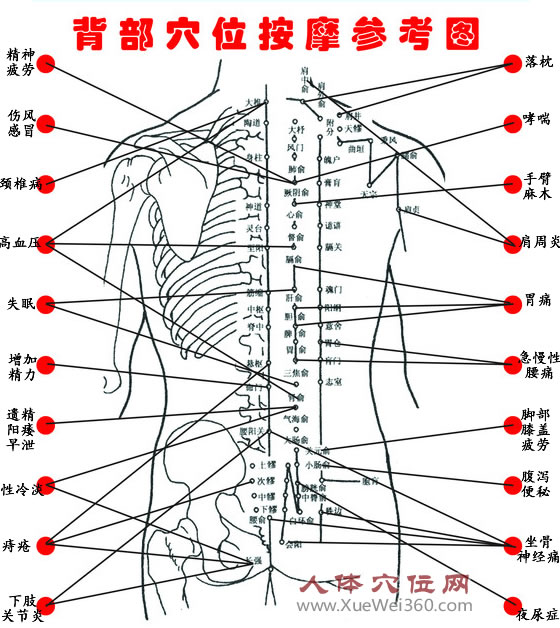 背部穴位按摩參考圖