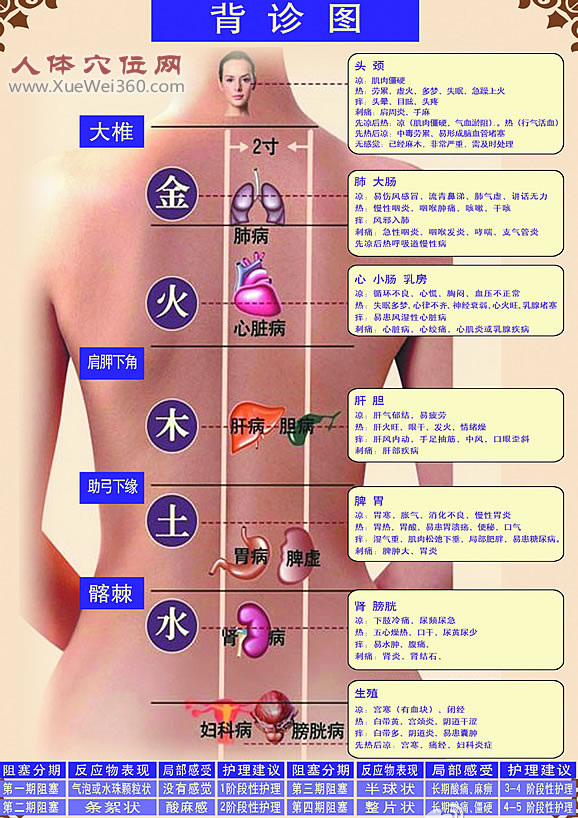 背診圖