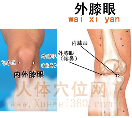 外膝眼穴的準(zhǔn)確位置圖