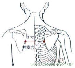 神堂穴：膀胱經(jīng)(圖文)