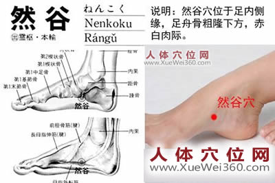 然谷穴的準確位置圖