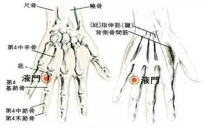 液門穴解剖圖