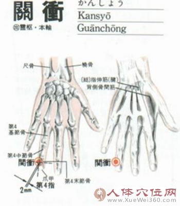 關(guān)沖穴解剖圖