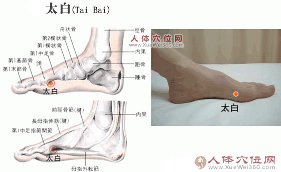 太白穴的準(zhǔn)確位置圖