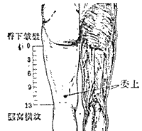 委上穴