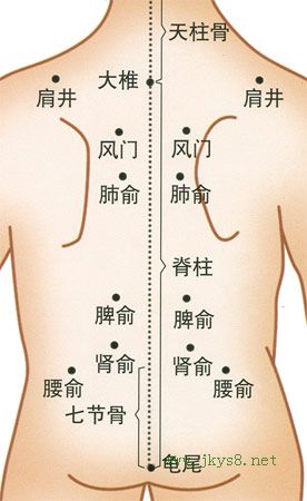 七節(jié)骨