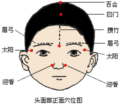 囟門(mén)穴