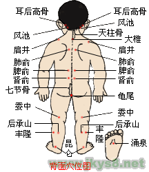 <a href=http://m.eeocool.cn/rentixuewei/jingluoxuewei/2012-04-25/865.html target=_blank class=infotextkey>肺俞穴</a>