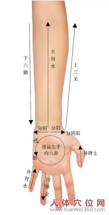 小兒推拿穴位及手法