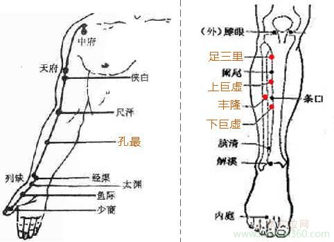 輔助療法治扁桃體炎