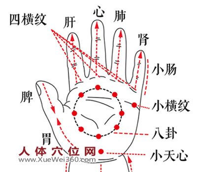 推五經(jīng)的穴位圖