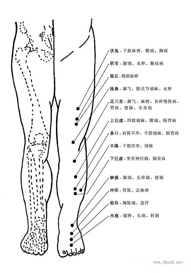 圖片詳解-人體穴位、經(jīng)脈及對(duì)應(yīng)疾病大全