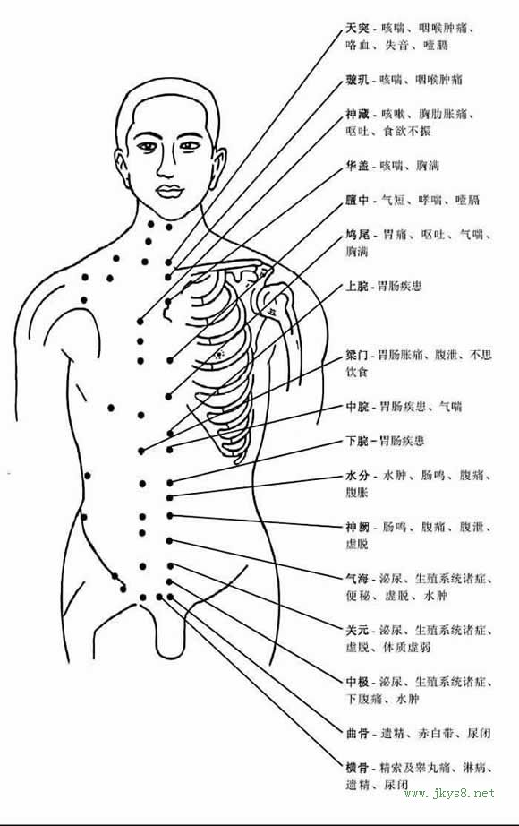 圖片詳解-人體穴位、經(jīng)脈及對(duì)應(yīng)疾病大全