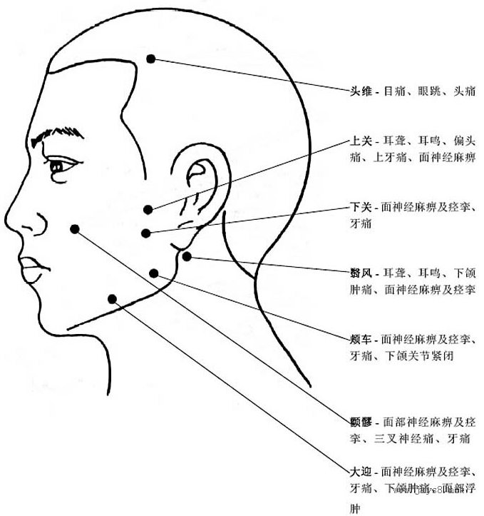 圖片詳解-人體穴位、經(jīng)脈及對(duì)應(yīng)疾病大全