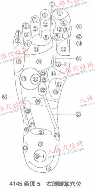 右腳腳掌穴位、腳內側穴位